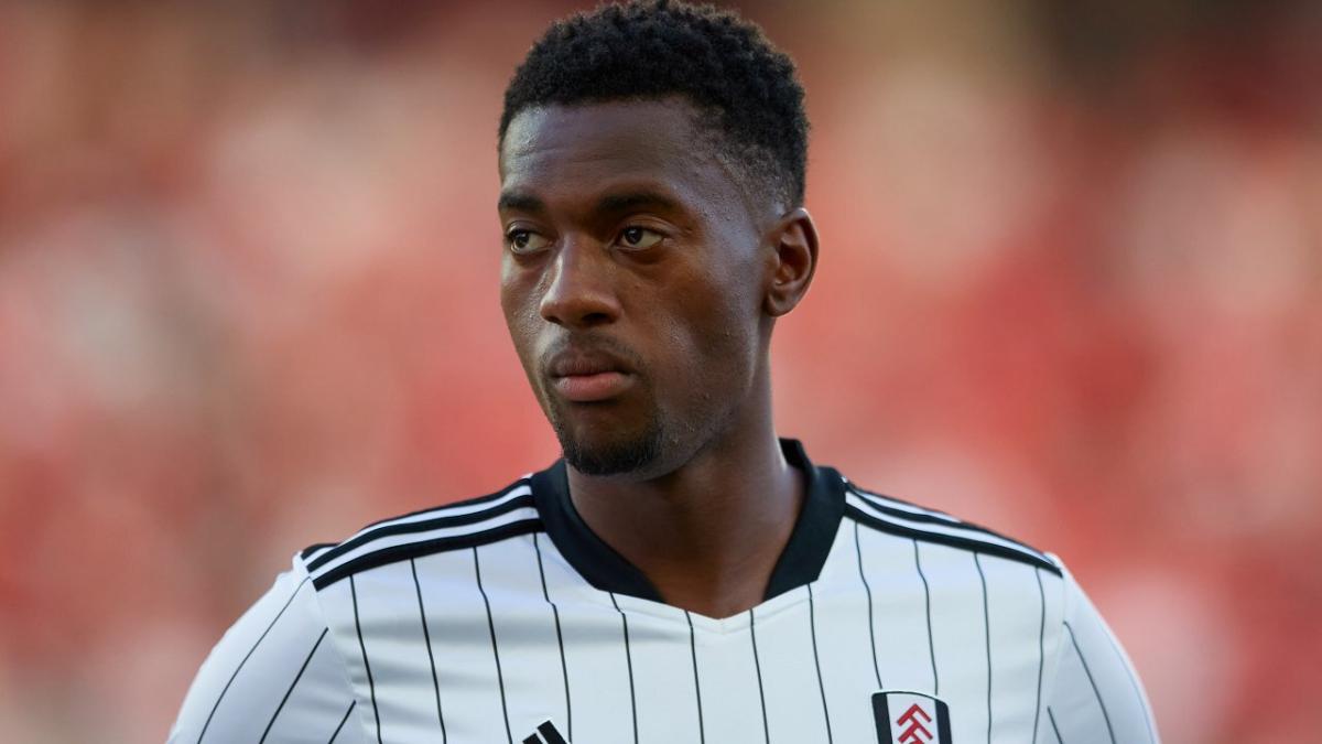 Tosin Adarabioyo, Fulham defender